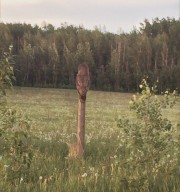 Profile photo for James Slaunwhite