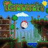Profile photo for Terraritos Terraritos
