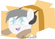 Profile photo for Jason Dotts