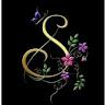 Profile photo for Sakshi K