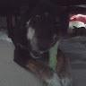 Profile photo for Aubrey Johnson