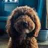 Profile photo for Jackson Munk