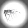Profile photo for Droz Kia