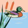Profile photo for Ducky Ducky