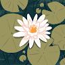 Profile photo for mehatha mehatha