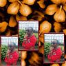 Profile photo for Olisamah Augustine