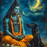 Profile photo for Amit Kumar