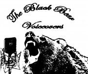 Profile photo for The Black Bear Voiceovers