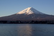 Profile photo for Fuji Fuji