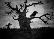 Profile photo for Alan Purnell