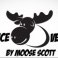 Profile photo for Moose Scott