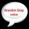 Profile photo for Brandon Gray