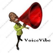Profile photo for Voice Vibe