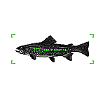 Profile photo for 