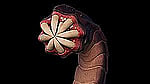Profile photo for 