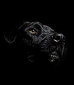 Profile photo for 