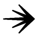 Profile photo for 