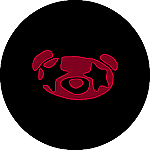 Profile photo for 