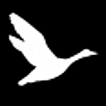Profile photo for 
