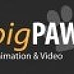 Profile photo for 