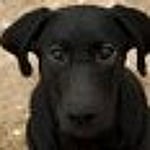 Profile photo for 