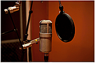 Professional and Engaging Voice Over to Elevate Your Brand Banner Image