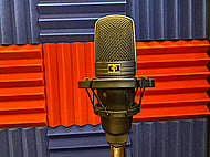 A versatile and dynamic Voice Over for your Videogames Banner Image