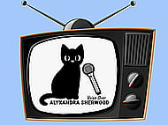 Friendly, Professional Voice Over for Your Television Ad Banner Image