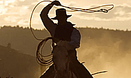 Authentic Cowboy for animation Banner Image