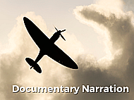 Engaging, Well Seasoned Narration for your Video Banner Image
