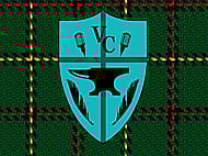 Warm, Friendly, Authentic Voice Over for TV Banner Image