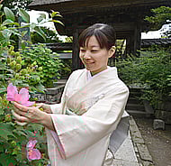 Authentic  Japanese Characters for Your Video game or Animation Banner Image