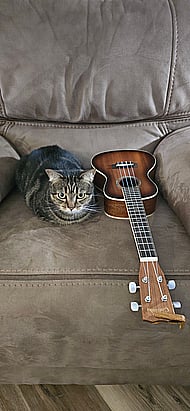 A Natural, Professional, Real Voice for Any Project Banner Image