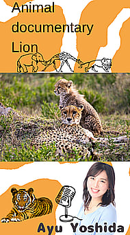 Nature & Wildlife Documentaries Banner Image