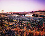 Copy of Animie 0104 Banner Image