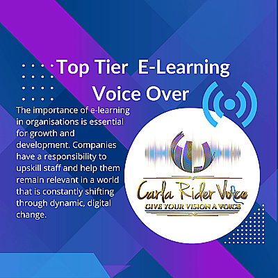 Top Tier Voice Talent for your E-Learning Video