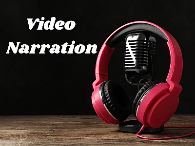 Video Narration Demo